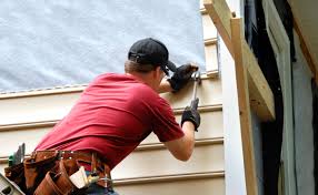 Best Fascia and Soffit Installation  in Park View, IA